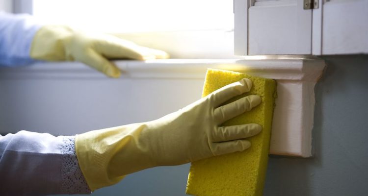 Home Cleaning
