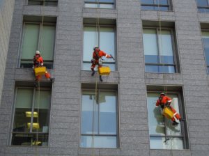 Professional Window Cleaning