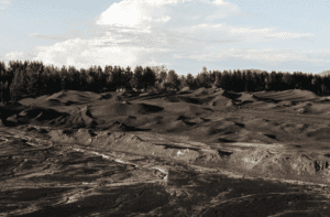 deforestation